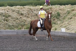 ISIS Dressage Challenge 2008